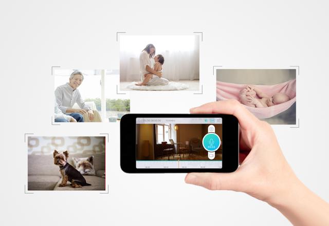 2017����I�O(ji��n)�؈�(b��o)���ИI(y��)�Ј��F(xi��n)��l(f��)չ����